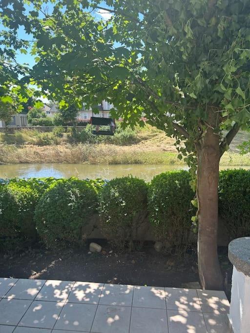 Altstadthaus An Der Kleinen Donau Holiday home *